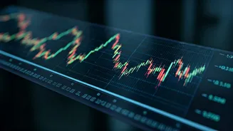 Market Fluctuations: What You Need to Know