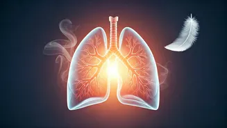 Asha Bhosle's Passing: Understanding the Health Challenges Faced by the Elderly