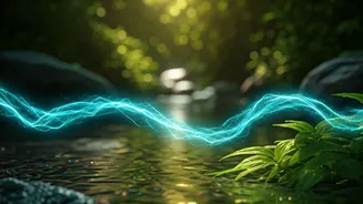 Related Stories banner