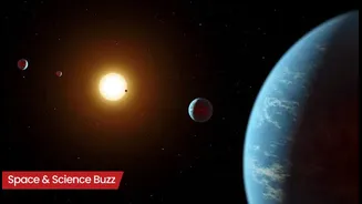 Science & Space Roundup: Top News of the Day (Nov 11)