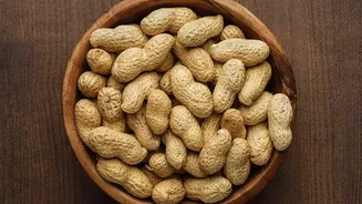 Warm Peanuts May Feel Soft Until Their Final Crunch Develops