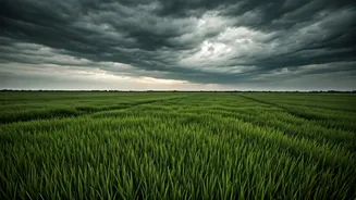 Understanding India's Kharif Growing Season
