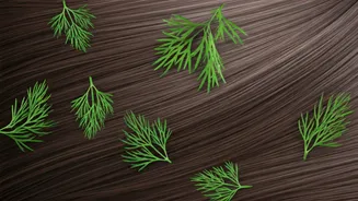 Unlocking Luscious Locks: The Power of Shepu (Dill Leaves) for Hair Health