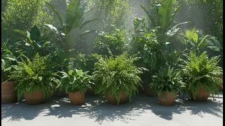 Plants That Can Make Concrete Terraces Feel More Comfortable During Humid Weather