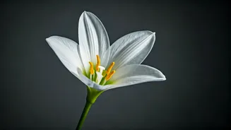 A Life Transformed: Man's Journey After Losing His Mother