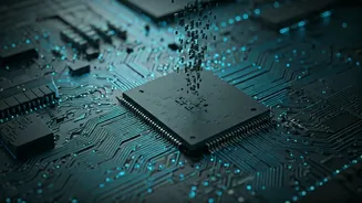 Ensuring Online Safety: How Websites Combat Malicious Bots