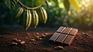 Goa's First Bean-to-Bar Chocolate: A Farmer's Journey from Farm to Exquisite Bars