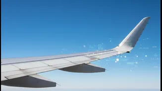 Airline Advisories Have Entered Traveller Culture