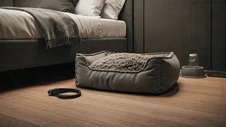 Pet-Friendly Stays Are Becoming Travel Deal-Breakers