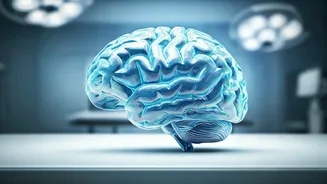 Stay Healthy: World Stroke Day 2025 – Early Signs