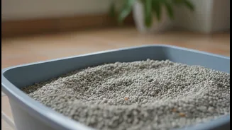 Cat Litter Has Entered Rainy-Season Mode