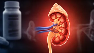 Daily Habits Undermining Your Kidneys: Expert Warnings for World Kidney Day
