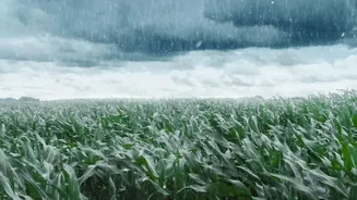 Why a Red Alert May Still Miss the Worst Local Rainfall Pocket