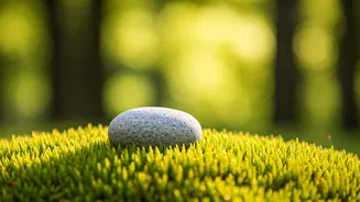 Nurturing Mind & Body: The Essence of Forgiveness