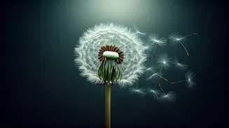 Emotional Exhaustion vs. Burnout: Therapist Unpacks the Crucial Differences