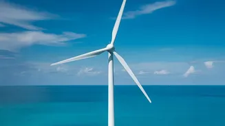 Blue Bonds And India: How Debt Could Fund Ocean And Water Projects