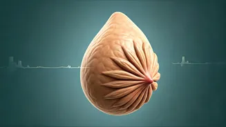 Rising Breast Cancer in Women Under 40: Lifestyle Factors and Prevention