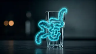 Gut Health Is Driving India’s Drink Choices