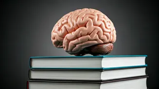 India's Human Capital: The Core of Growth