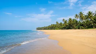 Offbeat South Goa Trips: Quiet Beach Escapes Agonda And Galgibaga For Solo Travellers