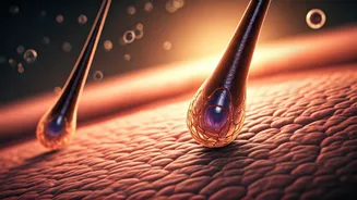 Beyond Surface Shine: Unlocking Real Hair Growth Solutions