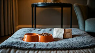 Hotels Are Wooing Travellers With Pet Perks