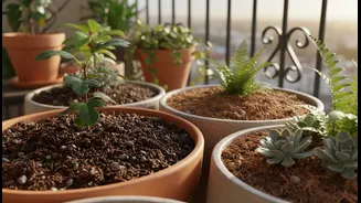 Balcony Soil Choices Affect Weight as Much as Plant Health