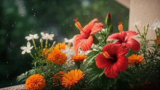 Indian Balconies Deserve These Rainy-Season Blooms
