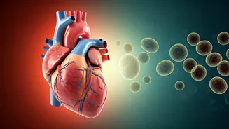 Impact of Ghee & Oil Withdrawal on Your Body