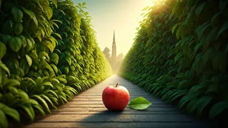 সুস্থ ও দীর্ঘ জীবনযাপনের জন্য কোন ৫টি সাধারণ অভ্যাস সবচেয়ে গুরুত্বপূর্ণ?
