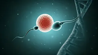 Beyond Mom's Health: How Dad's Lifestyle Shapes Baby's Future Health