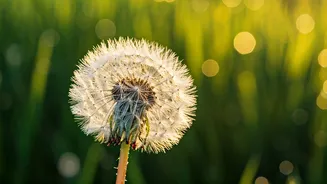 Unlock Life's Fullness: Master the Present Moment, Today!