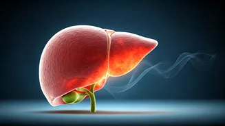 Listen to Your Body's Whispers: Subtle Signs of Organ Stress and How to Prevent Damage