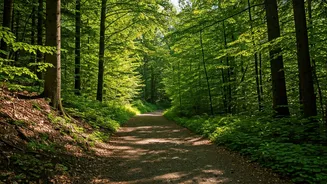 Navigating Difficult People: A Guide to Calm Interactions