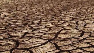 Bengaluru's Unusually Dry July: City Rainfall and Water Availability Matter More than a National Monsoon Label