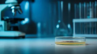 Jamnagar Battles Cholera: 15 Cases Spark Extensive Home Surveys and Health Response