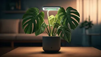 Related Stories banner