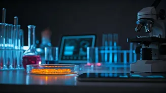 Everyone Can Be Part Of Research