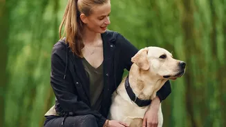 Ticks In Monsoon: Why Pet Owners Need Better Protection Strategies