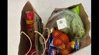 Man Praises Zepto For Packing Vegetables And Mosquito Repellent In Separate Bags: ‘No Crushed Tomatoes’ | Photo