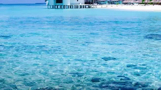 The Future of Maldivian Luxury May Depend on Protecting Its Natural Setting