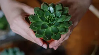The Best Plant-Care Hack Is Testing the Setup before Leaving