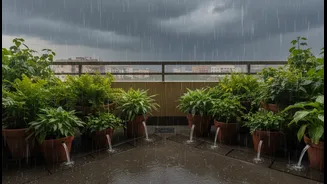 Create A Monsoon-Ready Balcony Garden With Better Water Drainage