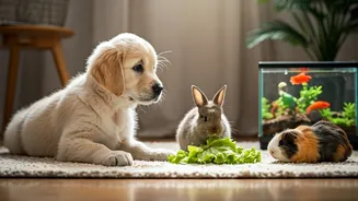 Top 6 Kid-Friendly Pets: Teaching Love, Responsibility, and Care