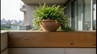 Heavy Planters Should Sit Close to Structural Support Where Appropriate