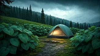 These Rainy Campsites Are Pure Bliss