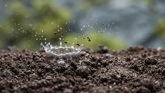 Fresh Attention Turns To Rain Erosion Through The New Rain-Droplet Erosion Study