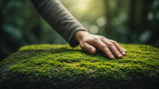 Nature-Friendly Holidays Are Winning Young Indian Travellers