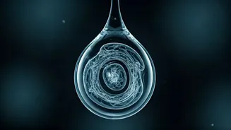 Water-Borne Infections Are Back On Health Feeds