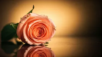 Malaika Arora's Journey Post-Breakup: Insights & Reflections